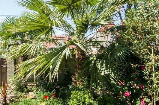 Гостевой дом «Лилия»