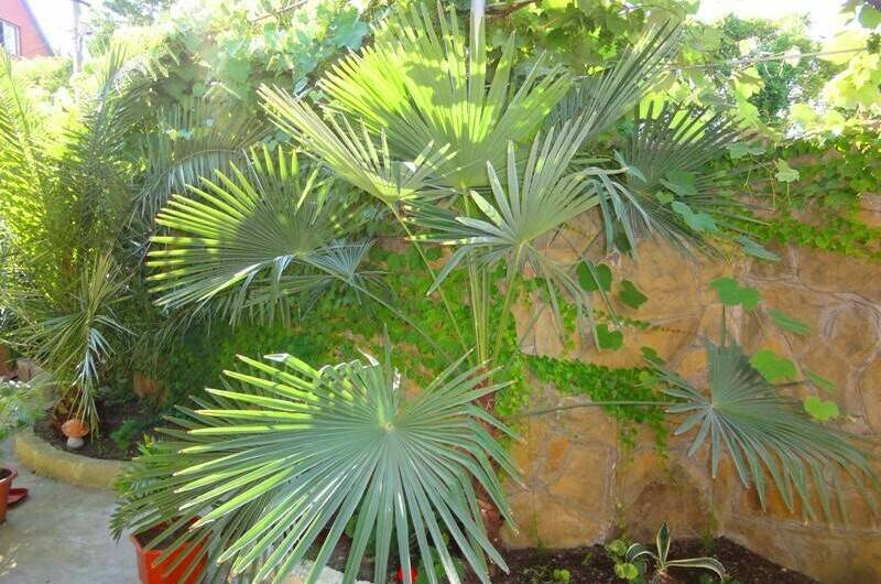 Гостевой дом «Семейный очаг»