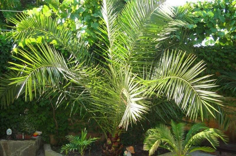 Гостевой дом «Семейный очаг»