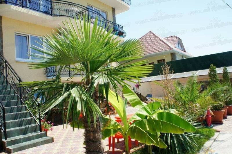 Гостевой дом «Атриум»