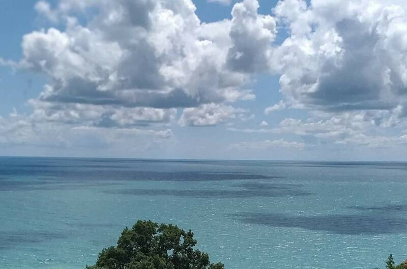 Частный дом «Мандариновый сад»