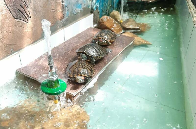 Гостевой дом «У Ивана»