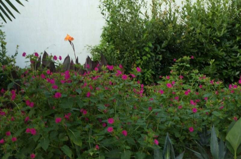 Гостевой дом «Цветочный рай»