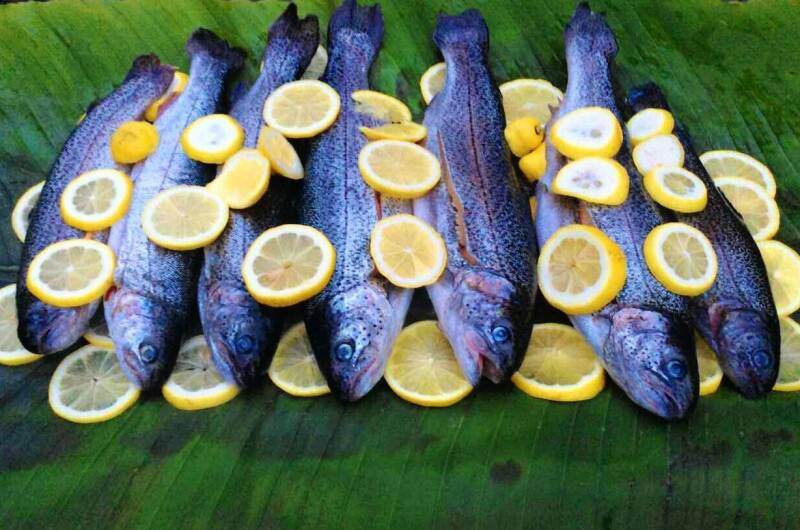 Гостевой дом «Бунгало»