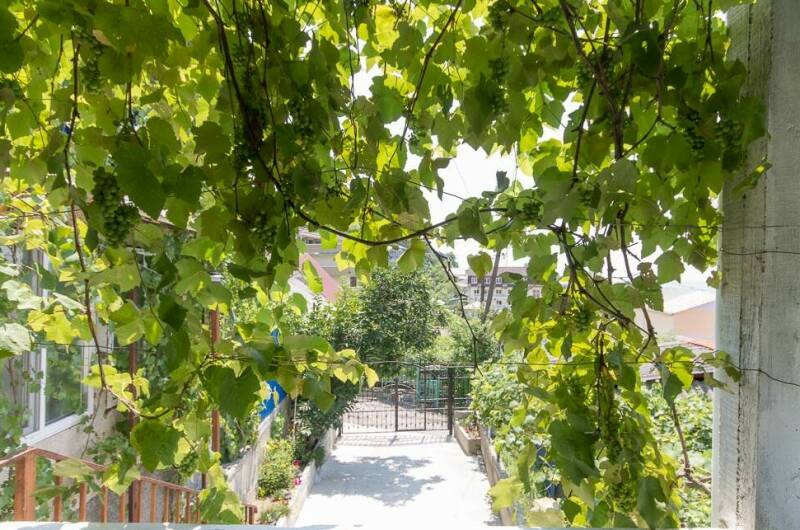 Гостевой дом «Лабиринт»