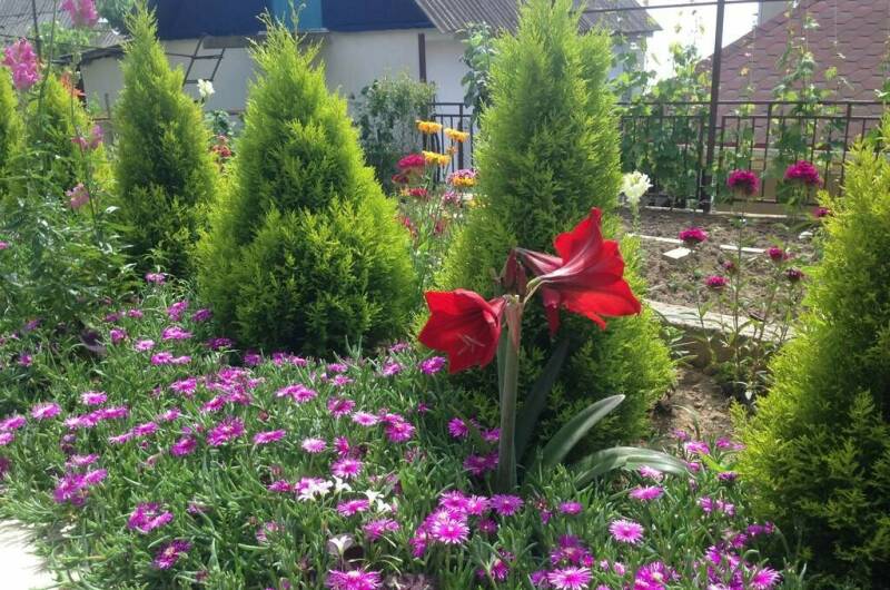 Гостевой дом «На Таежной»