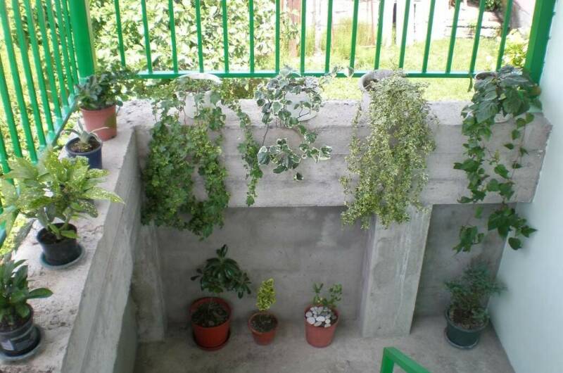 Гостевой дом «На фруктовой»