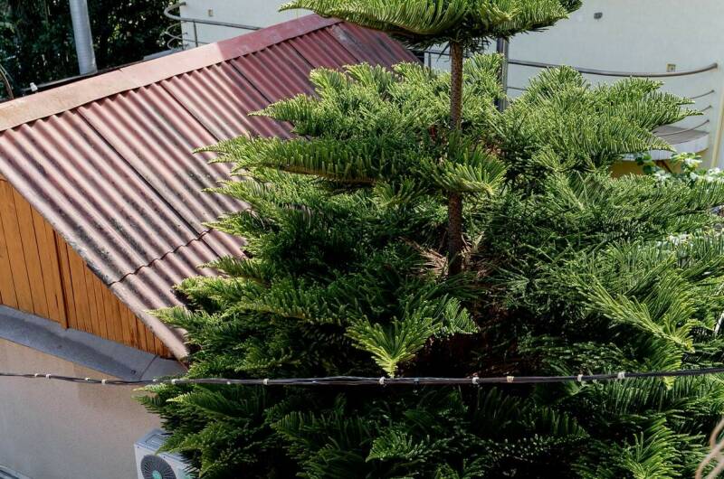 Гостевой дом «Волна»