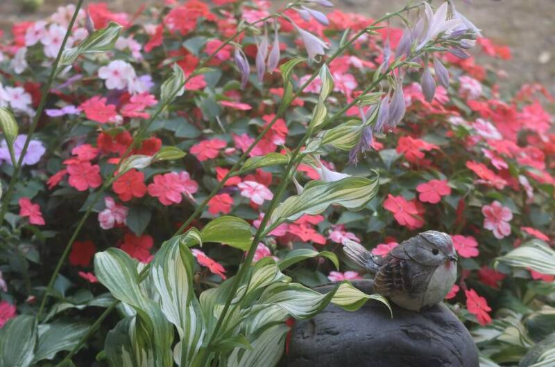 Гостевой дом «Белый ирис»