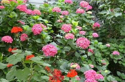 Гостевой дом «Арианна»