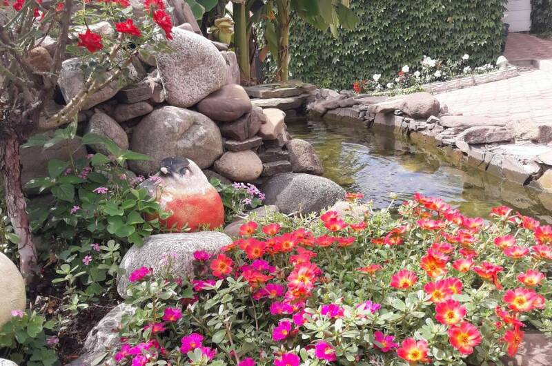 Гостиница «Анжелика»