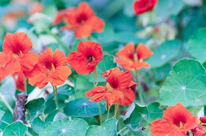 Гостевой дом на Кольцевой 3