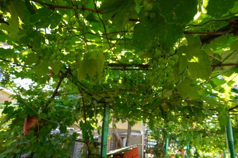 Гостевой дом «У тЁти Гали»