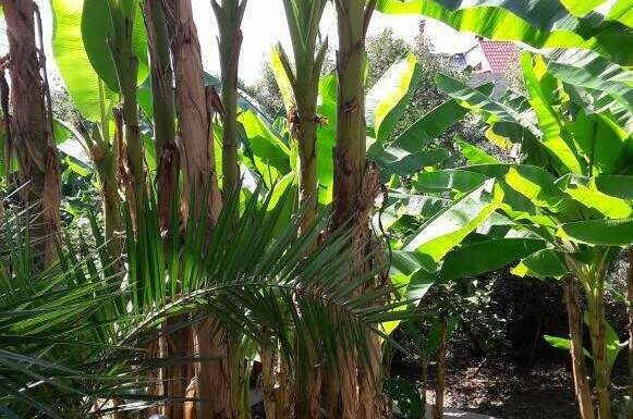 Комплекс «Морские Сезоны-коттеджи и террасы»