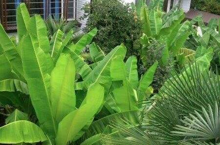 Комплекс «Морские Сезоны-коттеджи и террасы»