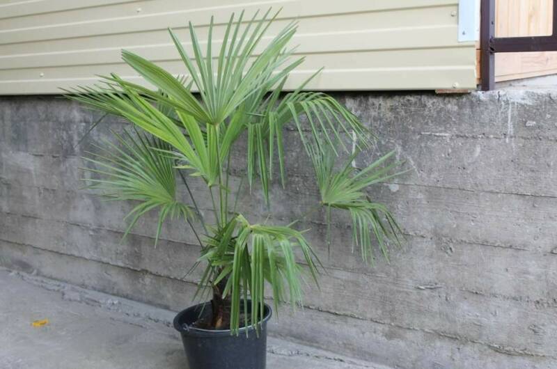 Гостевой дом «В гостях у Риты»