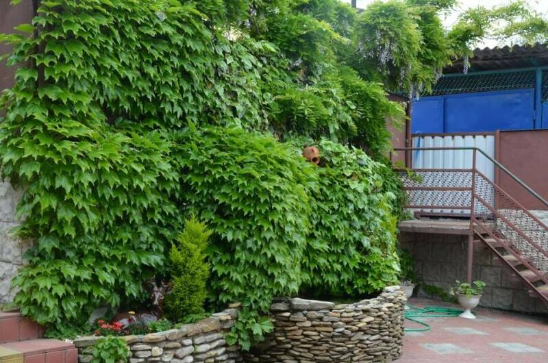 Гостевой дом «АриАнна»