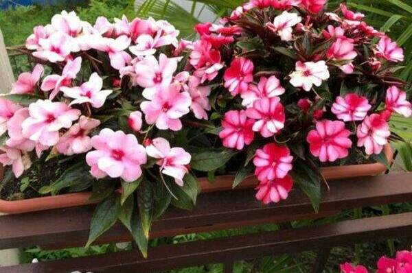 Гостевой дом «У Артура»