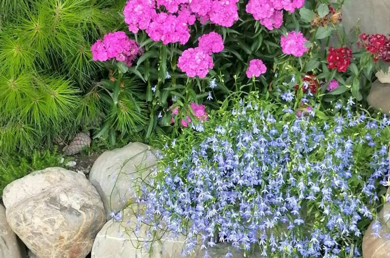 Частный сектор «Уютный дом»