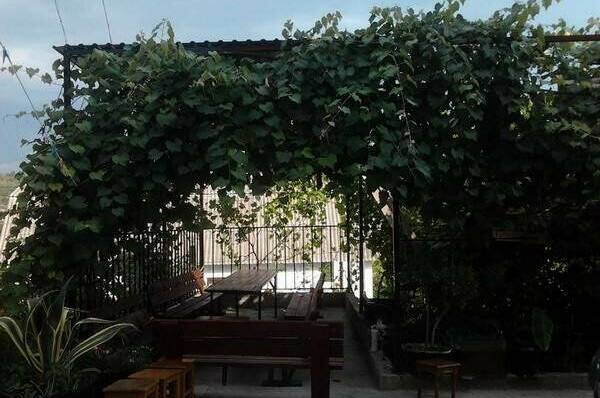 Гостевой дом «Алла»