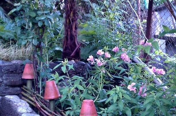 Гостевой дом на Грушевой