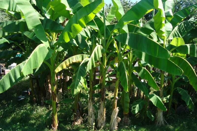 Гостевой дом «Дворик детства»