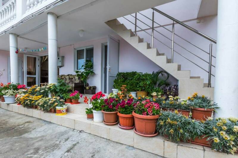 Гостевой дом «Светлана»