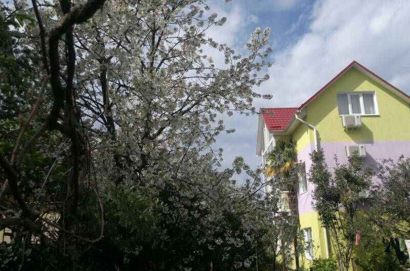 Гостевой дом «Фиалка»