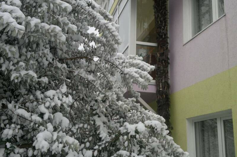 Гостевой дом «Фиалка»