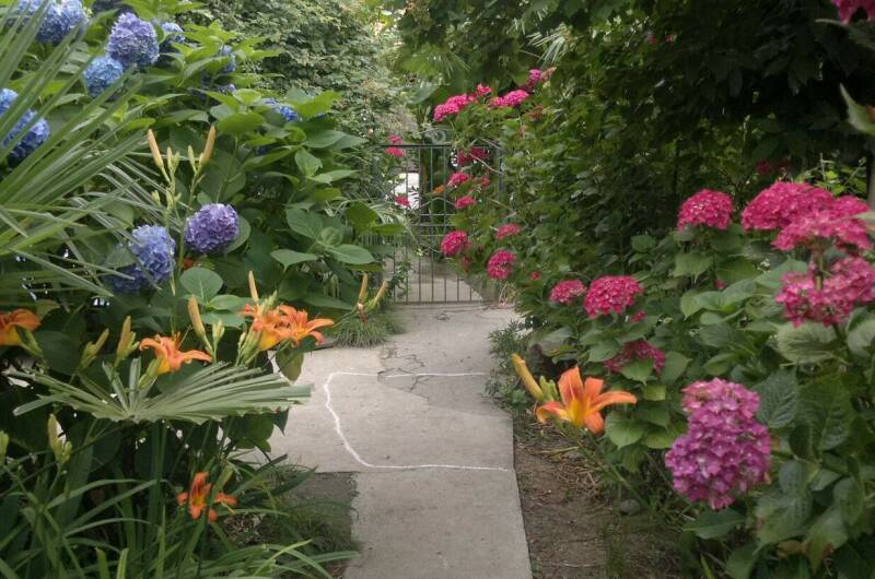 Гостевой дом «Фиалка»