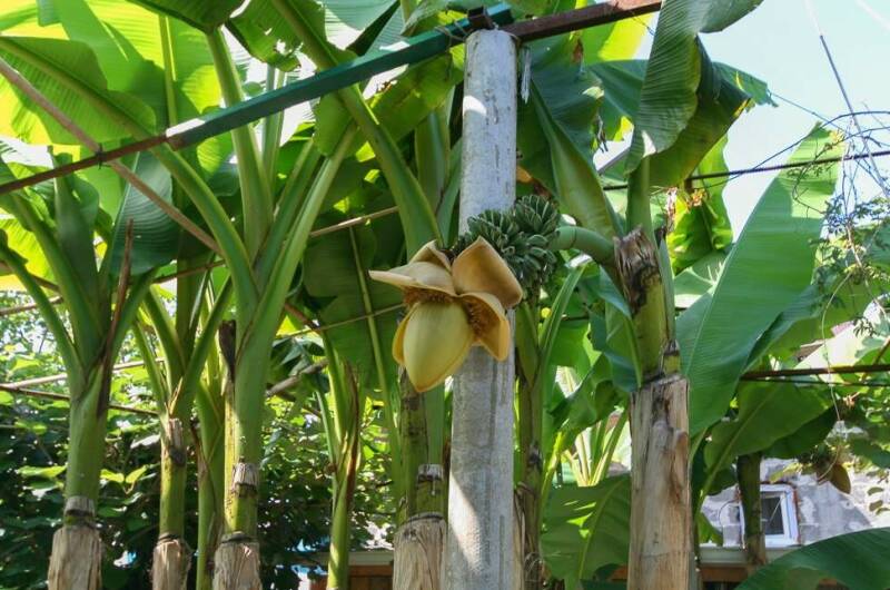 Гостевой дом «У тети Тани»