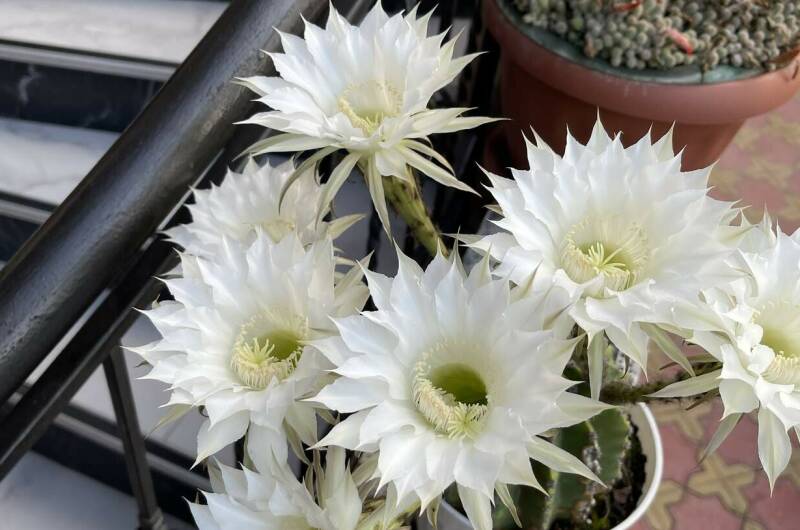 Гостевой дом «У моря»