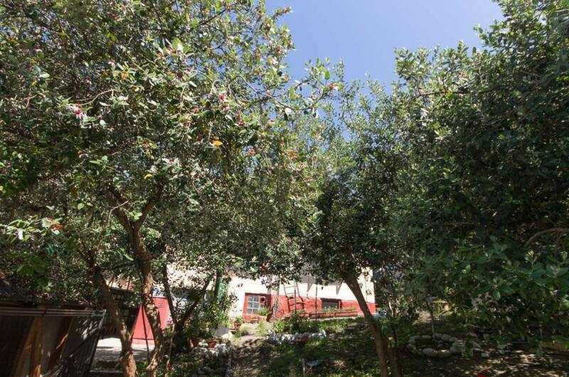 Частный сектор «Ася-Мечта»