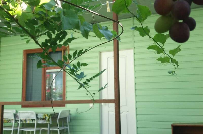 Гостевой дом «Лето»