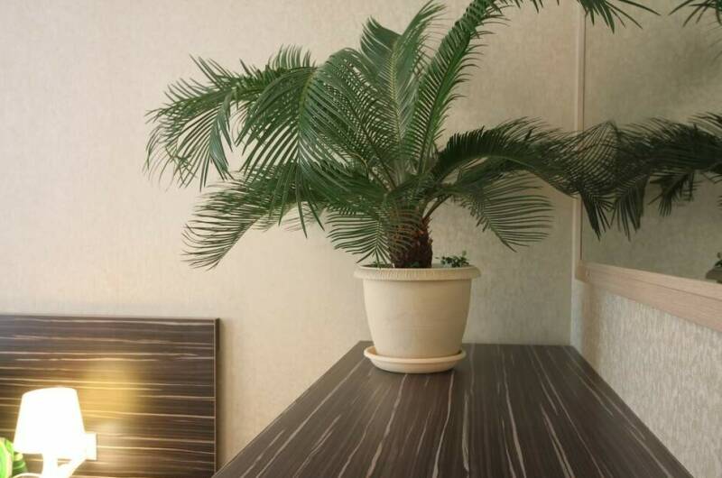 Частный дом «Novikoff»