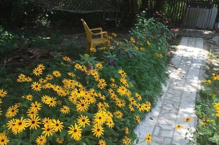 Гостевой дом «Костилья»