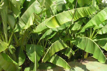 Гостевой дом «Лазурит»