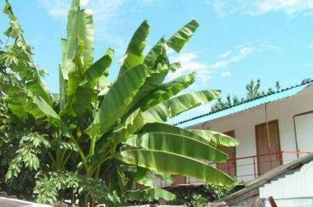 Гостевой дом «Лазурит»