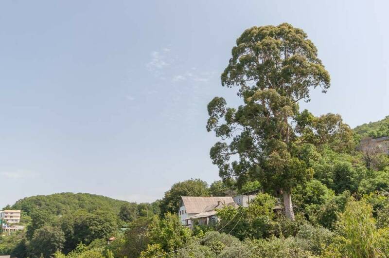 Гостевой дом «Надежда»