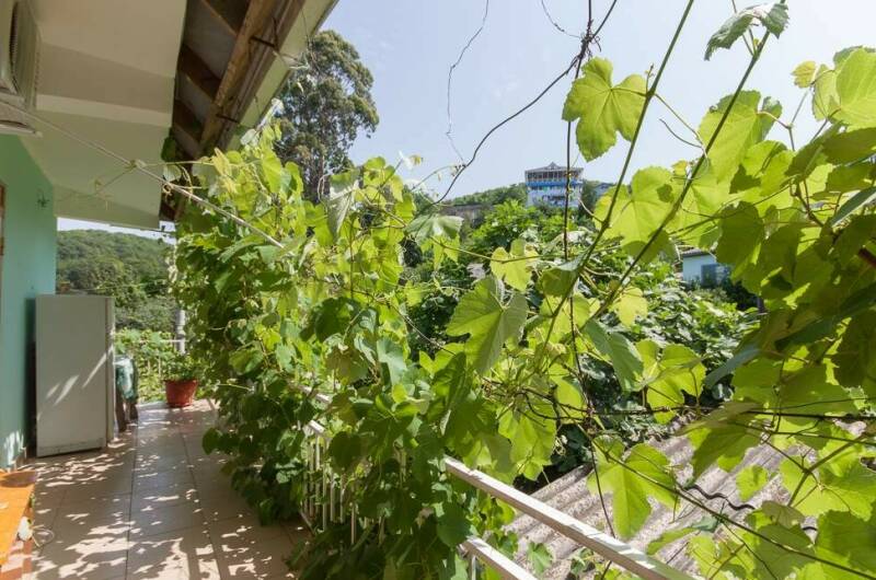 Гостевой дом «Надежда»