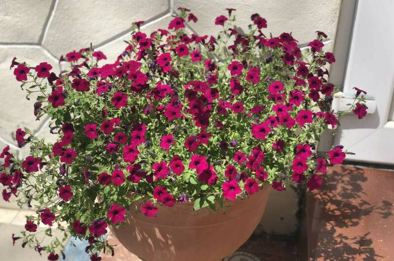 Гостевой дом «ЛиДиАнна»