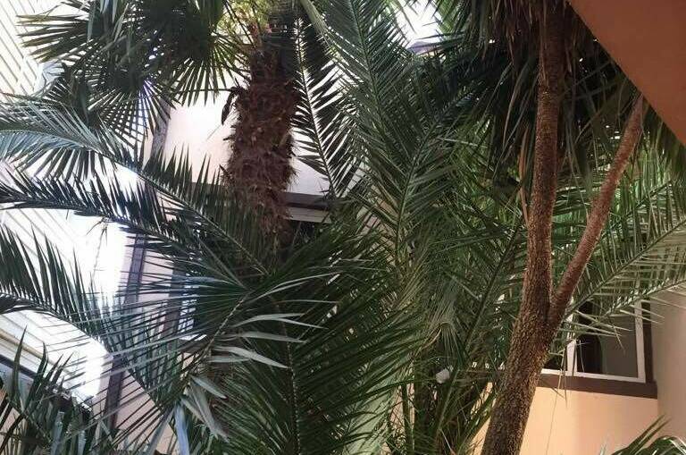 Гостиница «Галина»