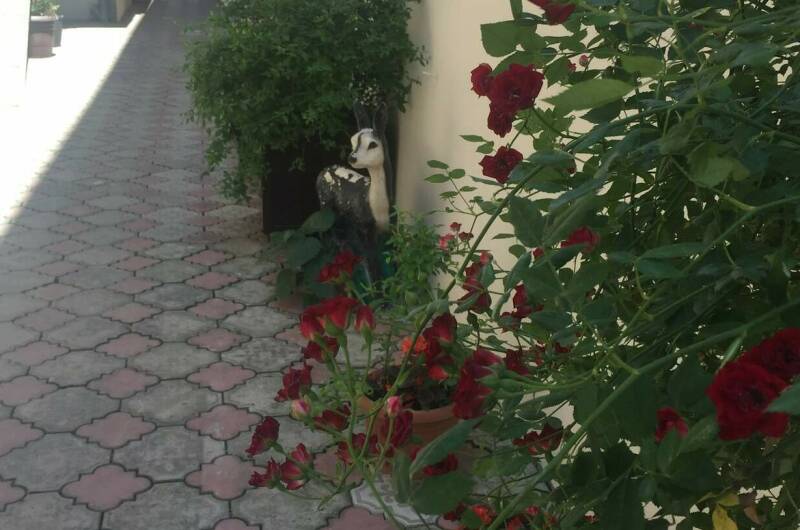 Гостиница «Галина»