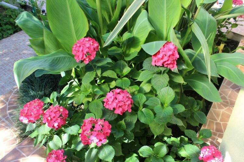 Гостевой дом «Колибри»