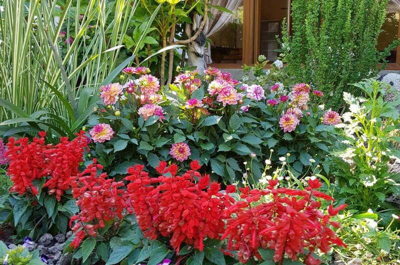 Гостевой дом «У Евы»