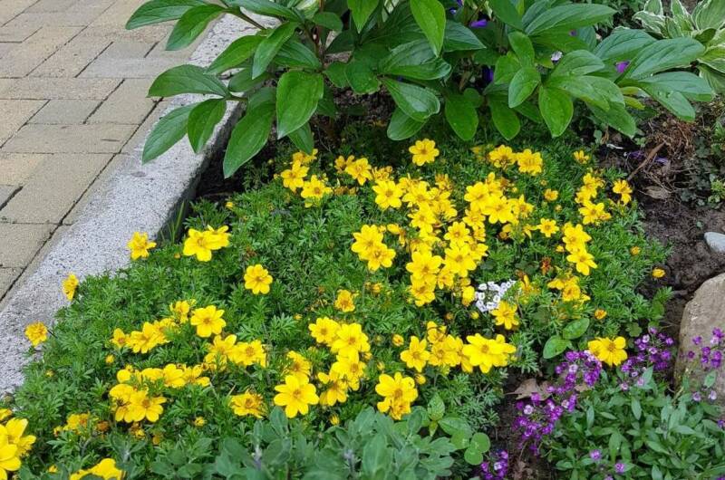 Гостевой дом «У Евы»