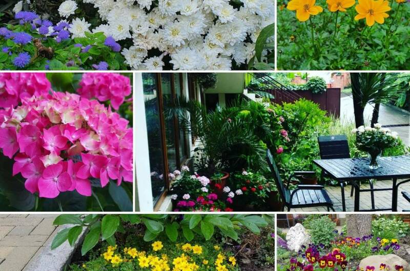 Гостевой дом «У Евы»