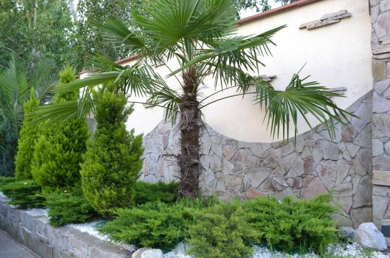 Гостевой дом «Зеленый дворик»