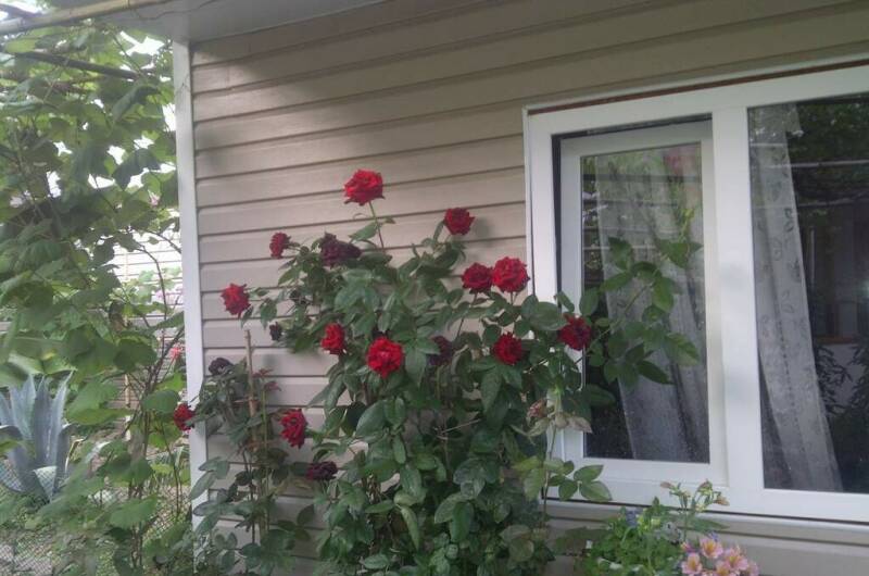 Частный дом «Леона»