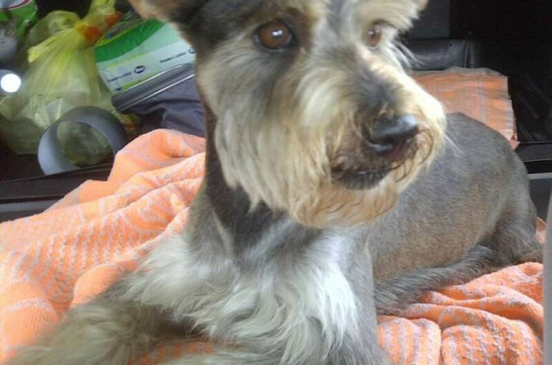 Частный дом «Леона»